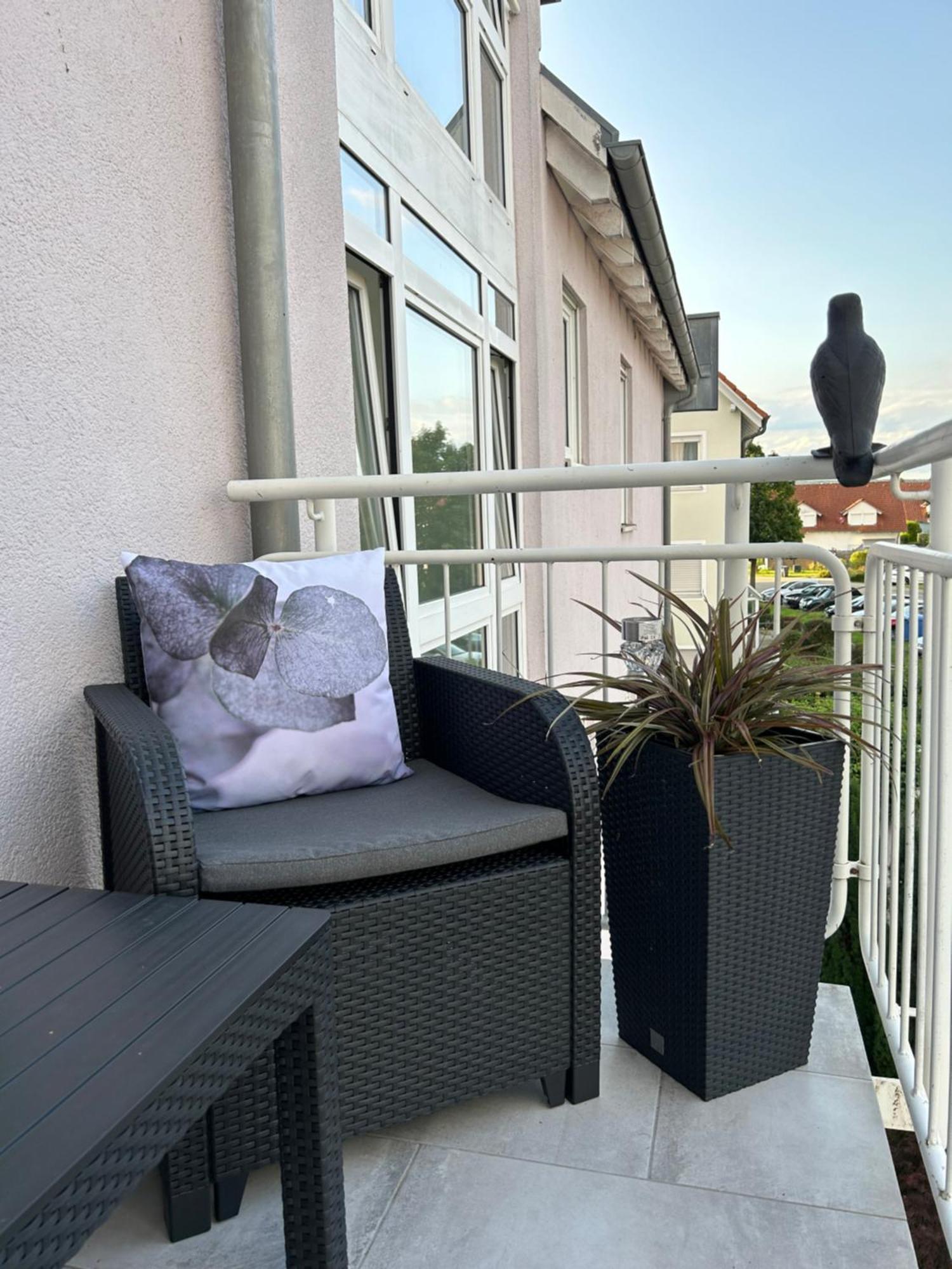 Ferienwohnung Als Wohlfuehlort In 锡格马林根 外观 照片